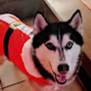 Meet your Posher, Adriana